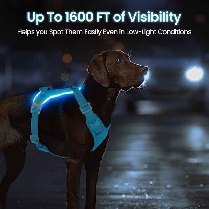 Light Up Dog Harness - Rechargeable LED Reflective Pet Vest for Night Walking - Adjustable No-Pull Safety Harness for Small Medium Large Dogs, Blue, XS-Mewly Pet
