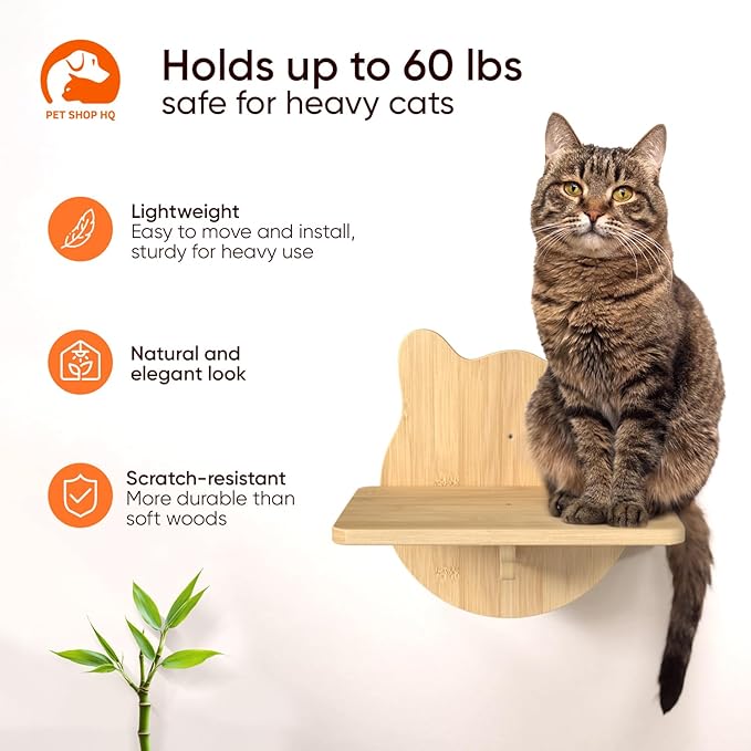 Wall-Mounted Cat Furniture for Climbing - Indoor Wooden Floating Shelves, Perches, Hammock, Bed, Bridges, Walkways - Different Models-Mewly Pet