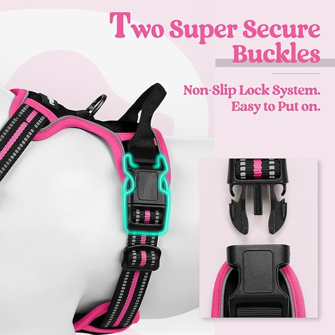 rabbitgoo Dog Harness No Pull with 2 Leash Clips, Adjustable Soft Padded, Reflective Oxford No Choke Pet Vest with Easy Control Handle for Large Dogs, Black & Hot Pink, M-Mewly Pet
