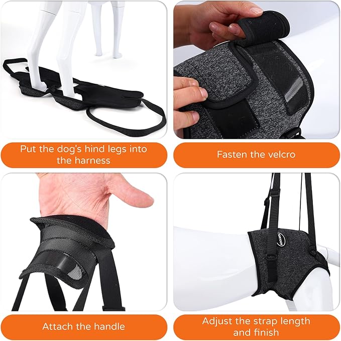 Dog Sling for Medium Large Dog Rear Leg, Lift Harness Provide Support with Muscle Atrophy and Joint Problems for Elderly Injured Arthritic Pet, Dog Weak Rear Legs Provides Rehabilitation Aid-Mewly Pet
