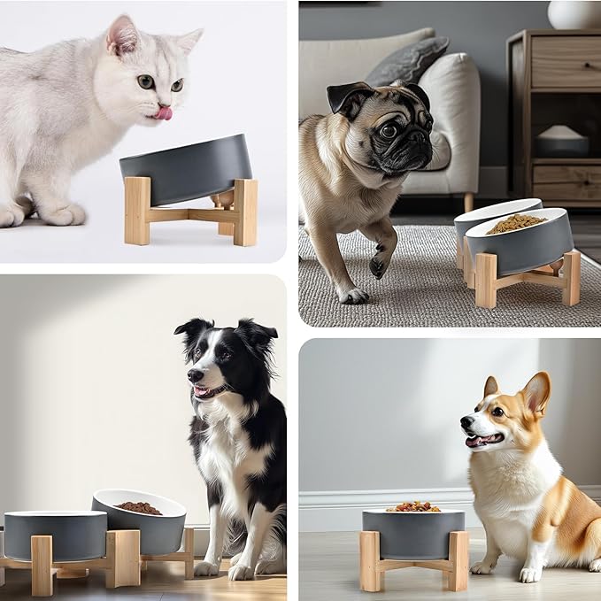 SPUNKYJUNKY 15° Slanted Ceramic Dog and Cat Bowl with Wooden Stand, Tilted Bulldog Food and Water Bowl No Slip Non-Spill for Cats Medium Dogs Big Face Pets 13.5 OZ (1.7 Cups, White-Grey × 2)-Mewly Pet