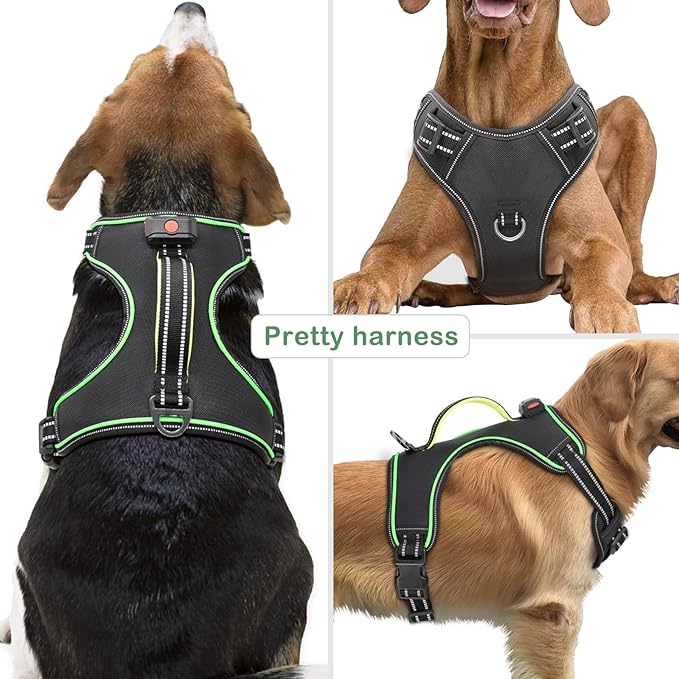 Rechargeable LED Dog Harness - No Pull, 4 Point Adjustable, Small/Medium/Large/X-Large Sizes-Mewly Pet