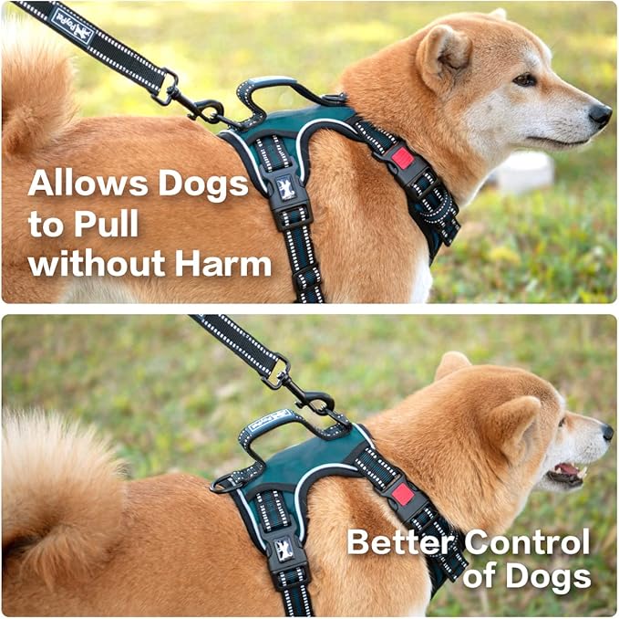 PoyPet No Pull Dog Harness, No Choke Front Clip Reflective Dog Vest with Soft Padded Vertical Handle, 3 Leash Attachments for Small Medium Large Dogs (Tumalo Teal,XL)-Mewly Pet