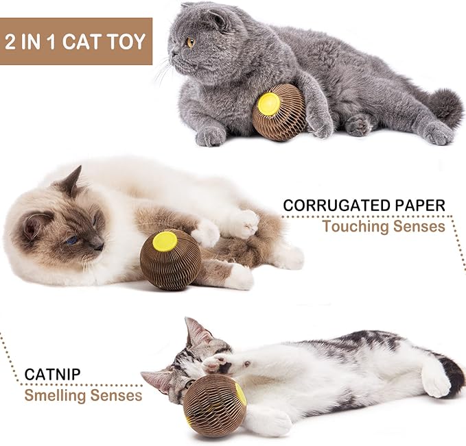 AREIIA Catnip Ball Toy for Cats Catnip Refillable Scratcher Ball Kitty's Faithful Playmate Reduce Obesity and Loneliness CSB01BR-Mewly Pet
