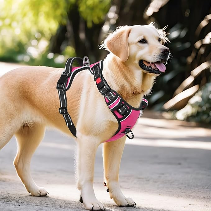 Timos Dog Harness, 3 Snap Buckles No-Pull Soft Padded Dog Vest with 2 Metal Leash Clips, Adjustable Reflective No Choke Pet Harness with Easy Control Handle for Extra Large Dogs,Rosy,L-Mewly Pet