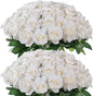 FOTEEWL 60 Pcs Artificial Rose Flower Realistic Faux Silk Roses Stem Fake Roses Bouquet for Flower Arrangement,Wedding Centerpieces,Party,Home Decorations (Beige)