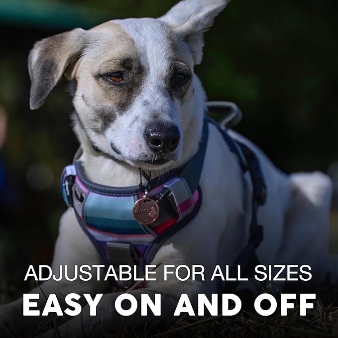 Embark Adventure Dog Harness, Reflective Trim No Pull Harness for Large Dogs - Military Grade Nylon, Front Clip with Gel Lined Handle. Soft & Padded Puppy Harnesses for Any Breed-Mewly Pet