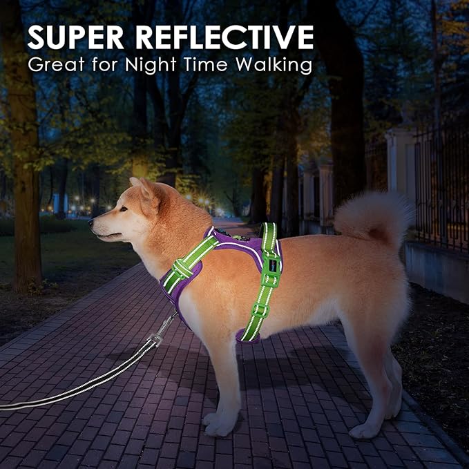 PHOEPET No Pull Dog Harness, Unique Colors Reflective Adjustable Dog Vest, with Soft Training Handle Metal Clips for Small Medium Large Dogs (Purple Base & Green Straps,S)-Mewly Pet