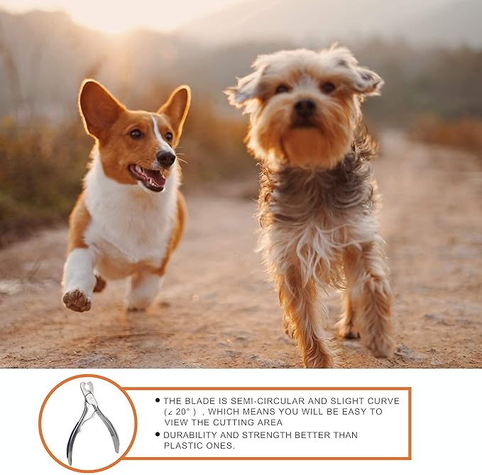 Dog Nail Clipper | Pet Cat Claw Trimmer -Sharp Angled Stainless Steel Blade for Quick Safety -Sturdy Non-Slip Handle -Nail File & Set Box -Professional Tools for Large & Small Pet-Mewly Pet