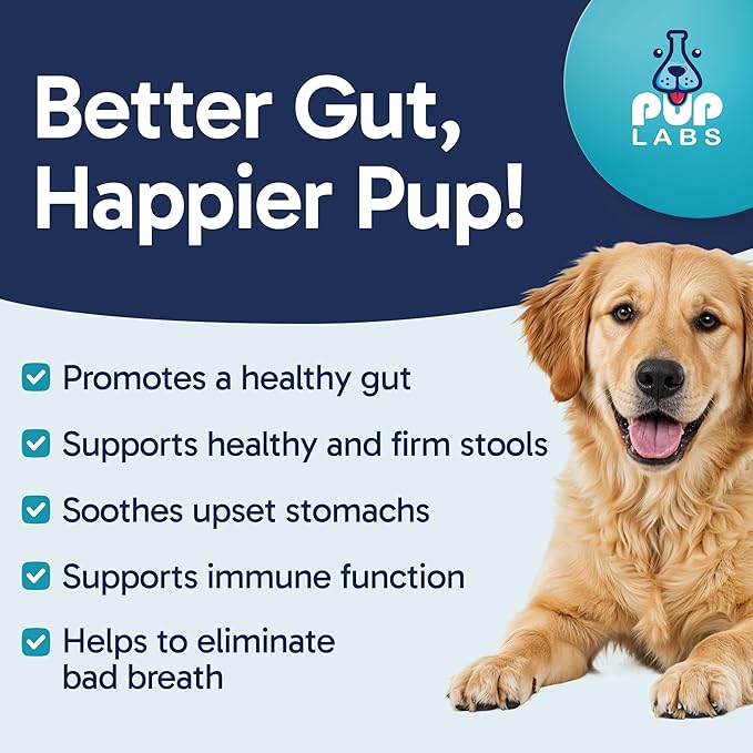 Tummy Essentials Probiotic Chews for Dogs, Supports Gut Health for Dogs and Firm Stools, Helps Eliminate Digestive Dysfunction, Dog Probiotics Made in The USA, 30 Chews-Mewly Pet