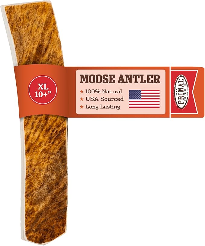 Primal Antlers for Dogs, Grade A Split Moose Antlers for Large Canines 45-60 lb, Natural Chews for Aggressive Chewers, Naturally Shed, Long Lasting Dog Bones, 1 ct-Mewly Pet