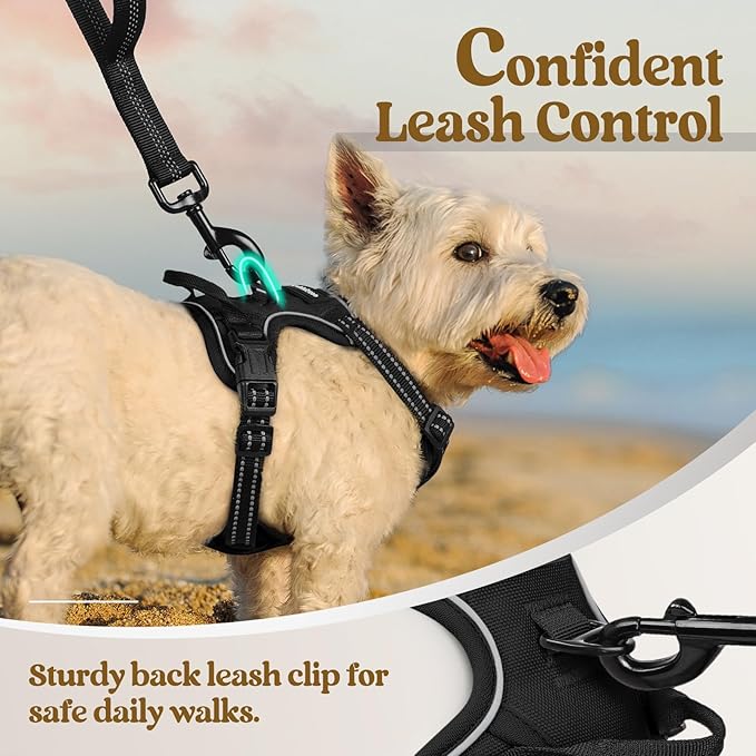 rabbitgoo Dog Harness No Pull with 2 Leash Clips, Adjustable Soft Padded, Reflective Oxford No Choke Pet Vest with Easy Control Handle for Puppy, Black, XS-Mewly Pet