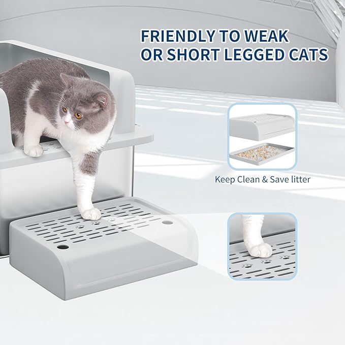 Stainless Steel Cat Litter Box 8 inch, XXL Large Cat Litter Tray with High Side, Platform Step and Scoop for Big Cats Multiple Cats, Easy Clean-Mewly Pet