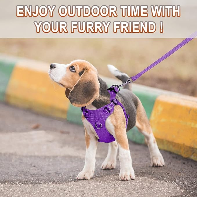 Dog Harness Step in Dog Vest Harness, Reflective Adjustable Puppy No Pull Harness Breathable Soft for Small and Medium Dogs Cats, Purple, XS-Mewly Pet