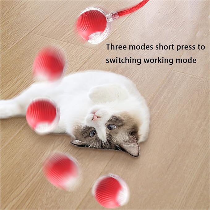 Interactive Cat Toy Ball for Indoor Cats - 3-Speed Smart Rolling Ball with Flashing Lights, USB Rechargeable Automatic Motion Kitten Toys for Bored Adult Cats & Playful Kittens-Mewly Pet