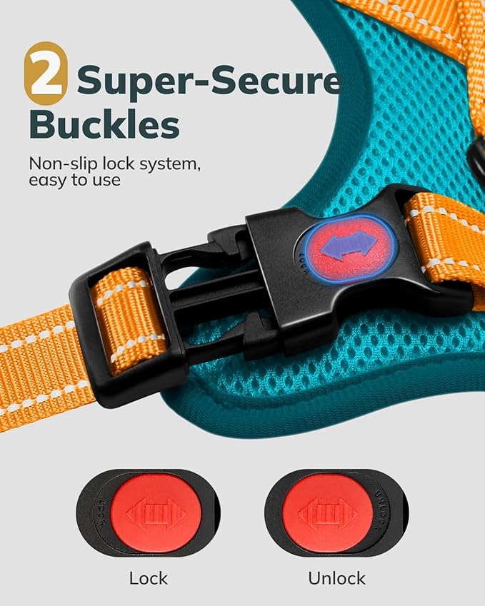 MIDOG No-Pull Dog Harness | Adjustable & Reflective Pet Harness Leash Set for Small Medium Large Dogs Walking, Training| No Choke, Front Clip, Soft Padded Vest with Easy Control Handle - Blue, S-Mewly Pet