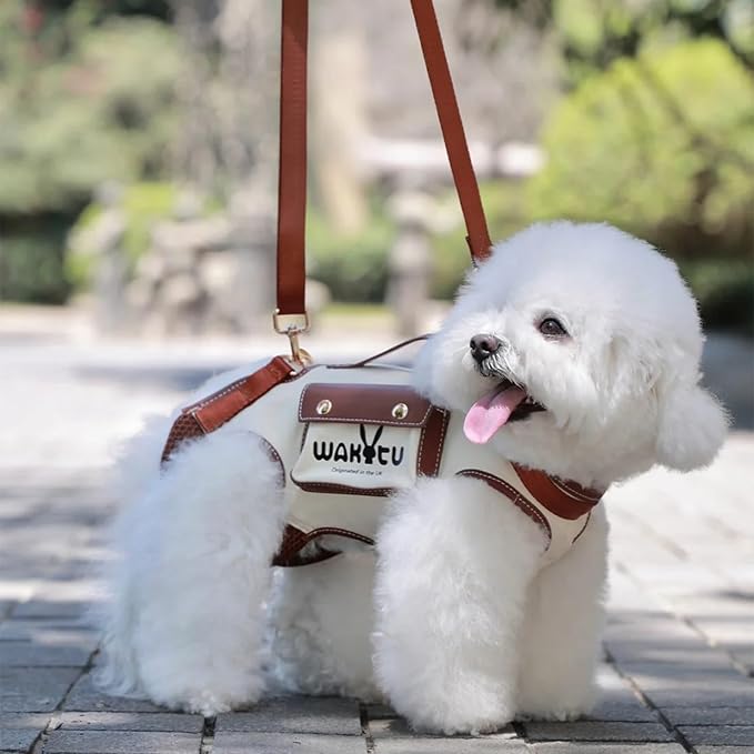 Dog Lift Harness Dog Carrier VES Harness Adjustable Leash with Small Puppy Treat Bag,Fits Most Cars,XS-Mewly Pet