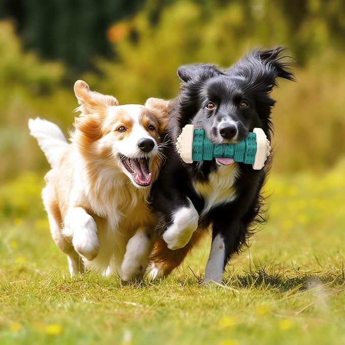 Pceotllar Indestructible Dog Chew Toys, Interactive Puzzle Toys with Beef Flavor, Safe Rubber for Aggressive Chewers - Large, Medium, Small Dogs - Green-Mewly Pet