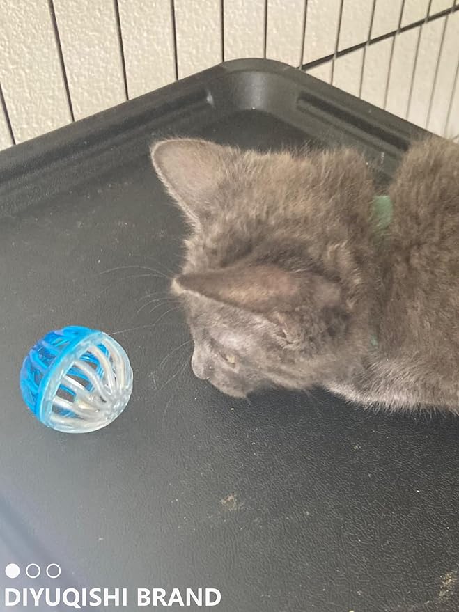 10-Pack Colorful Cat Toy Balls with Bells for Indoor Cats and Kittens (1.5'' - 2.3'', Cat Toys Mega Set)-Mewly Pet