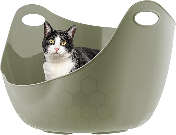 IRIS USA Cat Litter Box with High Walls and Handles, Made with Flexible Plastic, Sage Green-Mewly Pet