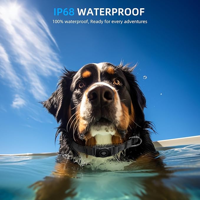 Upgraded AirTag Dog Collar, IP68 Waterproof Air Tag Dog Collar Holder, Reflective, Ultra-Durable, Comfortable Padded, Heavy Duty Dog Collars for Small Medium Large Dogs (XS (10.25"-13"), Black)-Mewly Pet