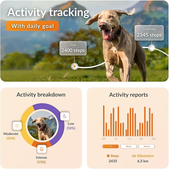 Weenect Dog XT - New GPS Collar for Dogs | XL Antenna | Waterproof | Ultra-Durable Integrated Julius-K9 Collar | Subscription Required-Mewly Pet