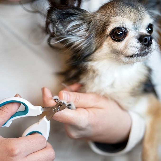 Cat Nail Clipper, Durable Stainless Steel Cat Nail Trimmer with Sharp Blade and Anti-Slip Handle, Professional Small Animal Claw Clippers for Cats Kittens Dogs Rabbits Guinea Pigs-Mewly Pet