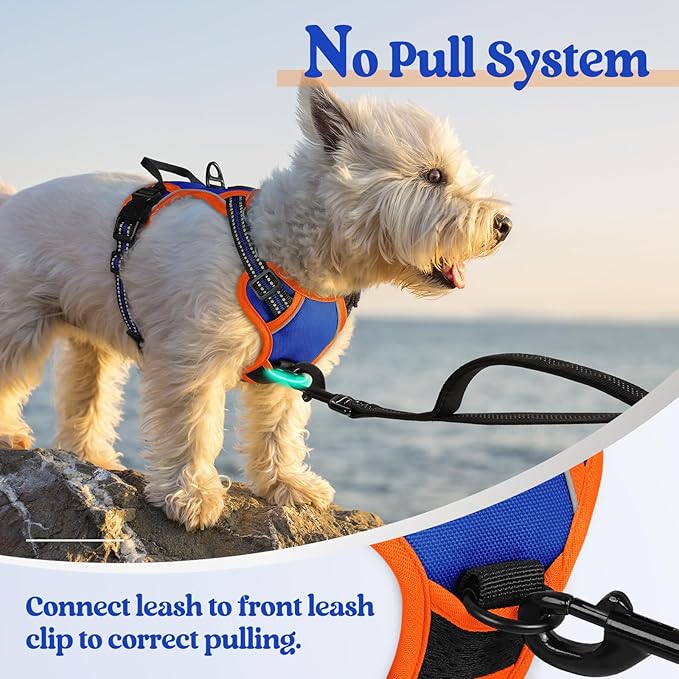 rabbitgoo Dog Harness No Pull with 2 Leash Clips, Adjustable Soft Padded, Reflective Oxford No Choke Pet Vest with Easy Control Handle for Puppy, Blue & Orange, XS-Mewly Pet