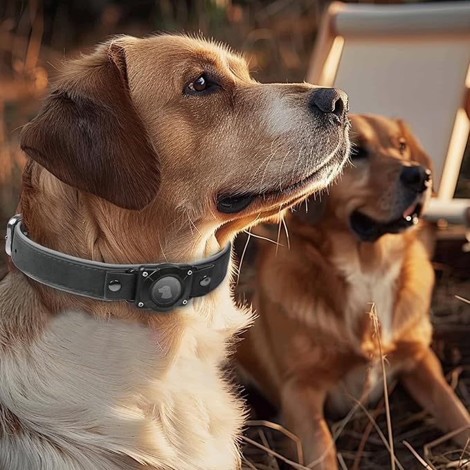 AirTag Dog Collar - Leather Dog Collar with Air Tag Holder | IPX8 Waterproof, Reflective, High - End, Adjustable Soft Padded | Dog GPS Tracker Collars Fit for Medium Large Dogs (Black, M)-Mewly Pet