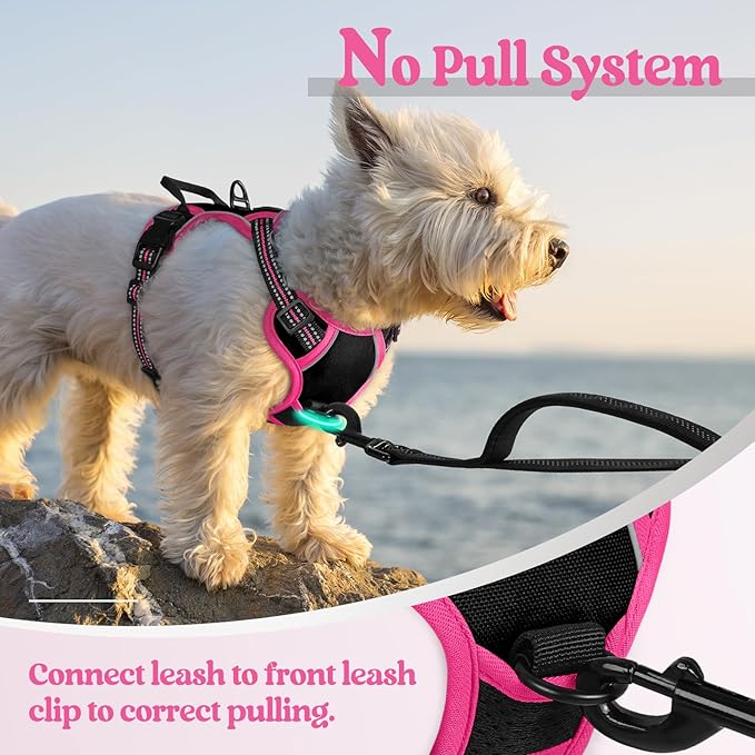rabbitgoo Dog Harness No Pull with 2 Leash Clips, Adjustable Soft Padded, Reflective Oxford No Choke Pet Vest with Easy Control Handle for Large Dogs, Black & Hot Pink, XS-Mewly Pet