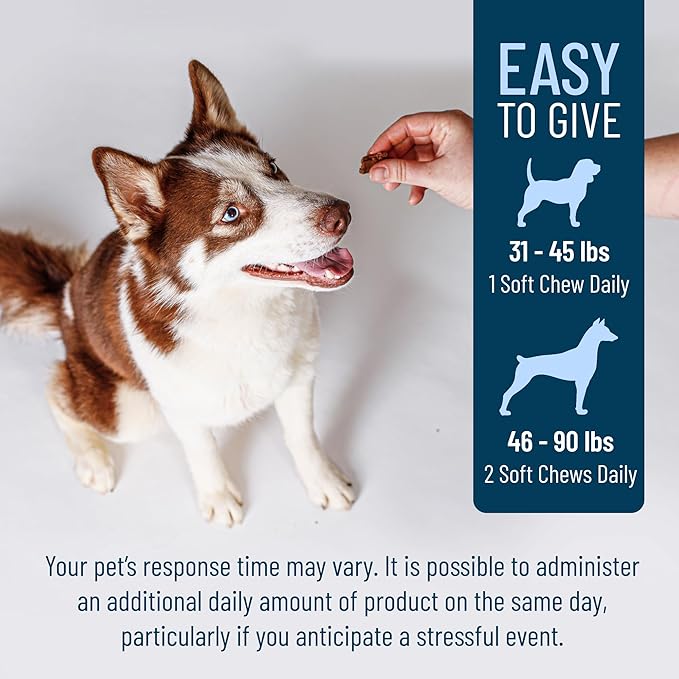 Nutramax Solliquin Calming Behavioral Health Supplement for Large Dogs - with L-Theanine, Magnolia/Phellodendron, and Whey Protein Concentrate, 75 Soft Chews-Mewly Pet