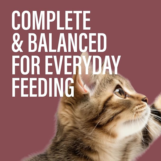 Chewer's Joy Wet Cat Food Variety Pack – 3 Flavors: Tuna & Salmon, Tuna & Chicken, Tuna & Turkey – Natural Pâté – High Protein – Grain Free – Complete & Balanced Nutrition – 24 Cans (3 oz)-Mewly Pet