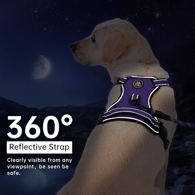 IVY&LANE No Pull Dog Harness for Small Dogs, Dog Vest Harness with Leash, Safety Belt and Storage Strap, Fully Adjustable Harness, 360° Reflective Strip, Soft Handle (Purple, XS)-Mewly Pet