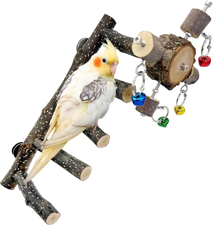 BNOSDM Natural Wood Bird Ladder Perch with Rotating Bell Toys-Exercise Stands for Parrot Climbing Chewing Parakeet Bridge Cage Accessories for Cockatiel, Conures, Lovebirds, Budgie-Mewly Pet