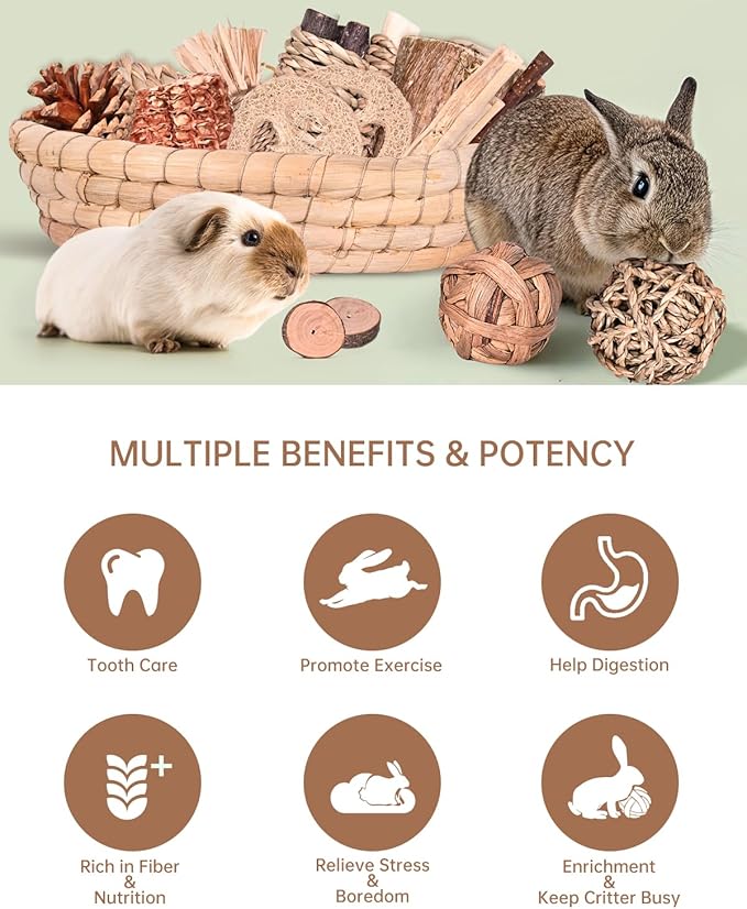 31PCS Rabbit Chew Treat Toys for Teeth Health, Natural Bunny Enrichment Toys for Boredom & Stress Relief, Keep Busy Toys for Guinea Pig Chinchilla Hamster Rat Gerbil Degu Indoor Outdoor-Mewly Pet