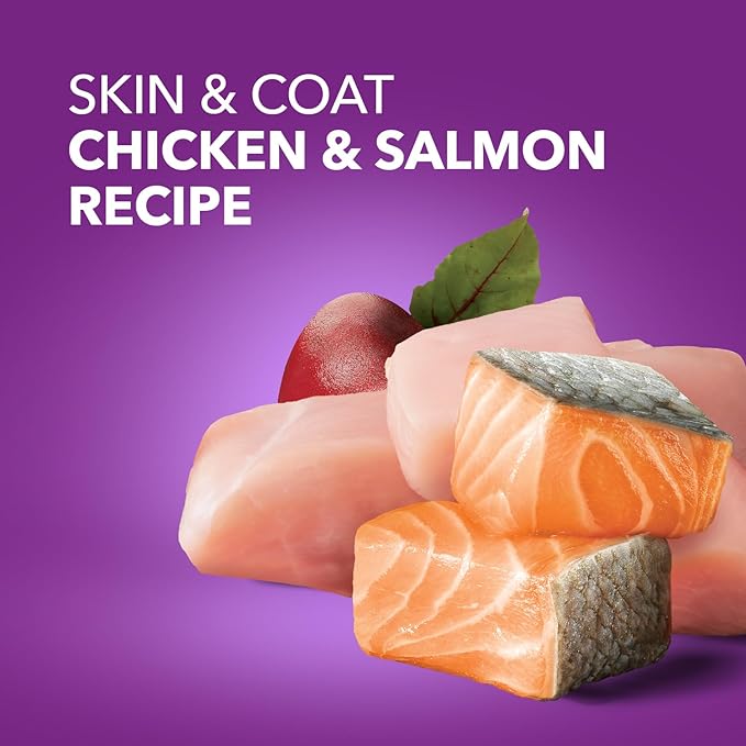 IAMS Advanced Health Skin & Coat Adult Dry Dog Food Chicken and Salmon Recipe, 6 lb. Bag-Mewly Pet