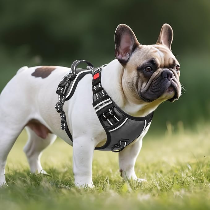 Timos Dog Harness Small Sized, No Pull with Neck Lockable Snap,No Choke Front Clip Dog Reflective Harness,Adjustable Metal Rings 3 Buckles,Easy Control Handle for Small Dogs Gray S-Mewly Pet
