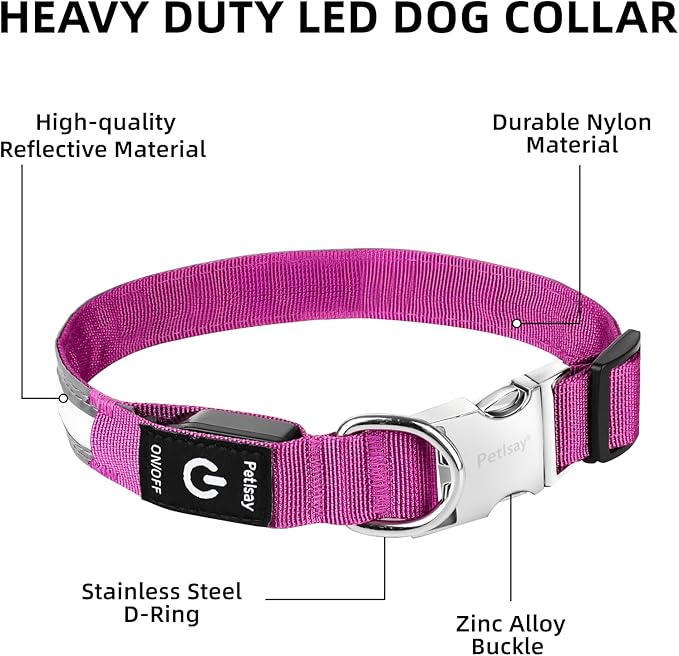 PetIsay LED Dog Collar Metal Buckle - Heavy Duty Light up Collars - Rechargeable IP68 Waterproof - Lighted Dog Collar for Night Walking, Hiking, Camping (Medium, Purple)-Mewly Pet