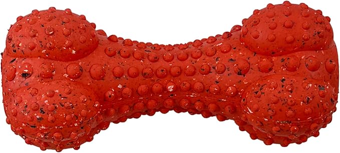 Max Fusion with Nike Grind, Arlee Rubber Bone Dog Toy, Chew Toy for Play, Fetch, Tug, M-Mewly Pet