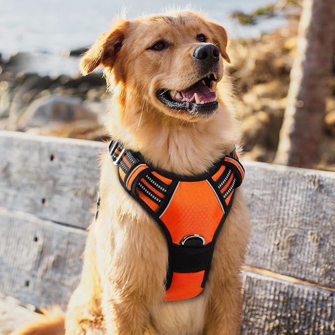 rabbitgoo Dog Harness for Large Dogs, No Pull Pet Vest with 3 Buckles, Adjustable Soft Padded Pet Harness with Easy Control Handle and Reflective Strips, Orange, XL-Mewly Pet