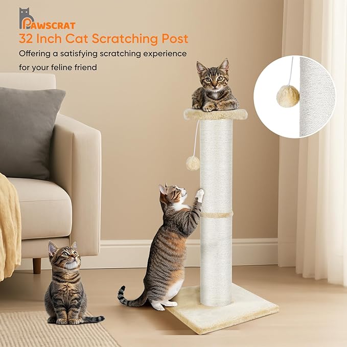 PAWSCRAT Cat Scratching Post 32" Tall, Large Diameter Natural Sisal Cat Scratch Post with Dangling Ball, Scratch-Resistant and Durable Tall Cat Scratcher for Indoor Cats, Protect Your Furniture, Beige-Mewly Pet