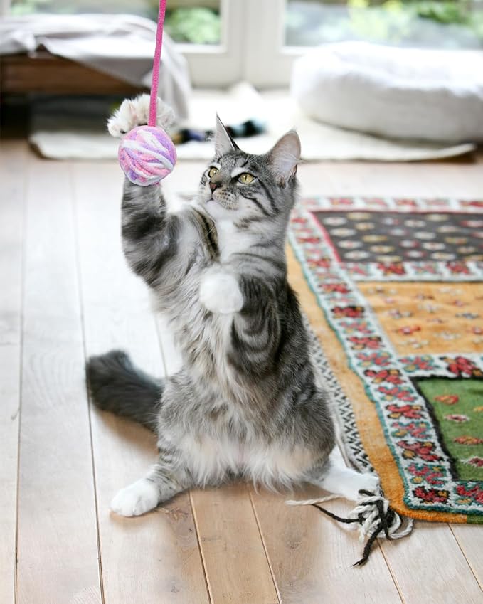 PET SHOW 10 Pack Cat Toys - Woolen Yarn Cat Balls, Interactive Mesh Feather Ball, String Toy for Indoor Cats, Chase Training Activity for Kittens-Mewly Pet