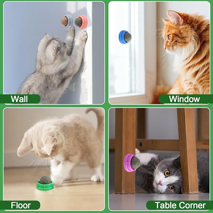 KIMOBER 6 Pack Catnip Ball for Cats,Edible Kitten Chew Toys with Catnip Silvervine Gall Fruit Flavors for Cats Lick Dental Teeth Cleaning Cats Wall Treats-Mewly Pet