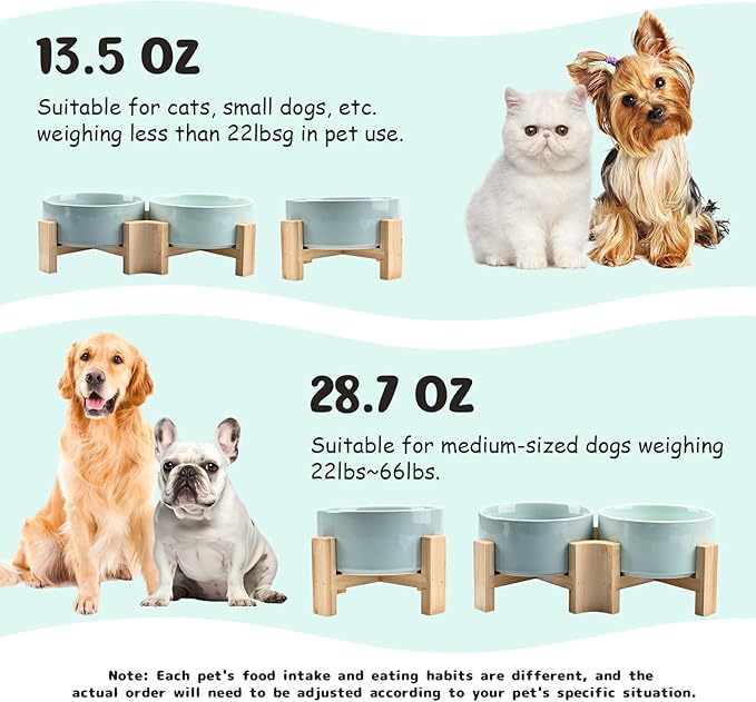 SPUNKYJUNKY 15° Slanted Ceramic Dog and Cat Bowl with Wooden Stand, Tilted Bulldog Food and Water Bowl No Slip Non-Spill for Cats Medium Dogs Big Face Pets 13.5 OZ (1.7 Cups, Morandi Green × 2)-Mewly Pet