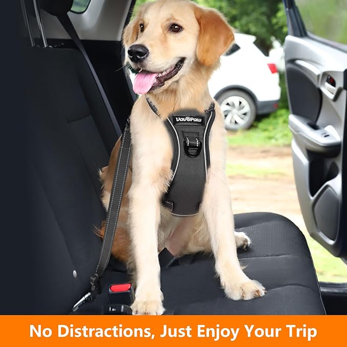 Dog Seat Belt Harness for Car, Dog Car Harness Adjustable Mesh Breathable & Dogs Seatbelt Safety Tether with Elastic Bungee for Small Medium Large Pets(Carbon Black, XL)-Mewly Pet