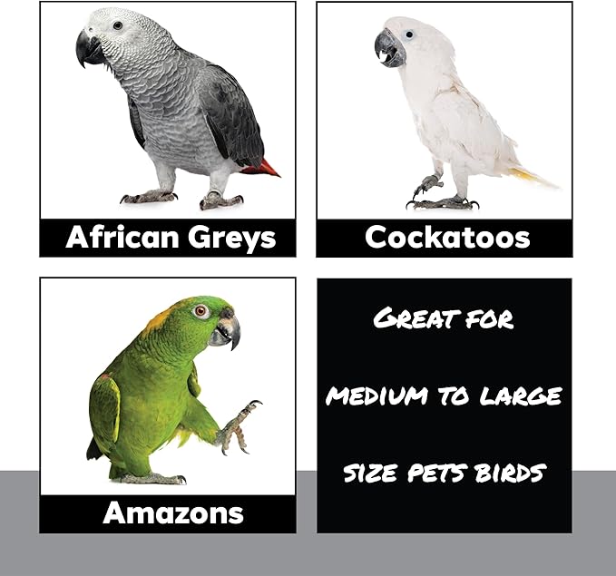 1410 Stainless Pot Delight from Parrots Cockatiels Conures Budgies Macaws Lovebirds African Greys Parrot Toys Stainless Foraging Chew Treat Noise-Making Fun Sensory Enrichment.-Mewly Pet