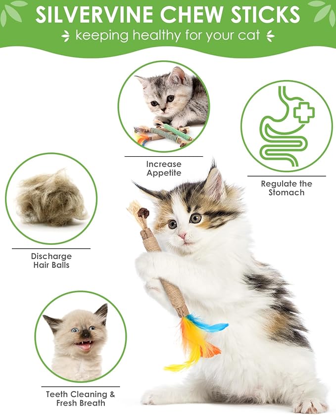 TINDTOP Catnip Chew Toys for Cats, 4 Pack Natural Silvervine Sticks for Kittens Teeth Cleaning, Matatabi Dental Care, Increase Appetite, Aggressive Chewers Cat Dental Toy-Mewly Pet