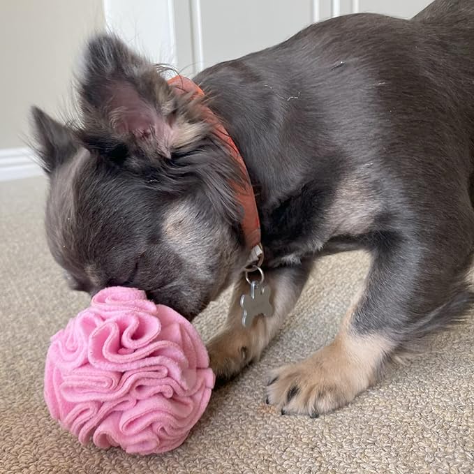 Puppy and Small Breed Snuffle Interactive Foraging Dog Puzzle Ball Toy Pink-Mewly Pet