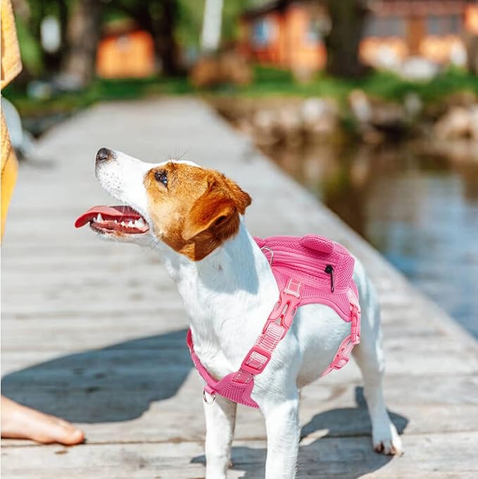 IDOMIK Dog Backpack Harness, No-Pull Dog Backpack with D-Ring for Small Medium Dogs, Cute Self Carrier Backpack for Dogs to Wear, Adjustable Dog Harness Backpack for Traveling Camping Hiking,Pig,L-Mewly Pet