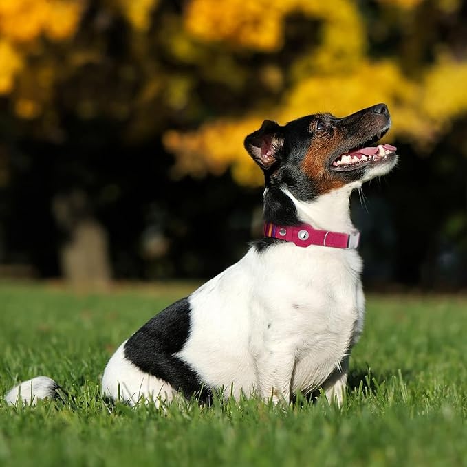 AirTag Dog Collar for Small Medium Large Breed - Adjustable Cute Pattern Dog Collar with Airtag Holder - Soft Leather Tracker GPS Apple Air Tag Pet Collars (Large, 17"-21" Neck Fit, Striped)-Mewly Pet